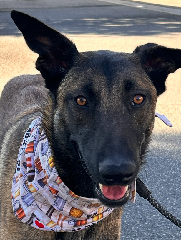 Nico