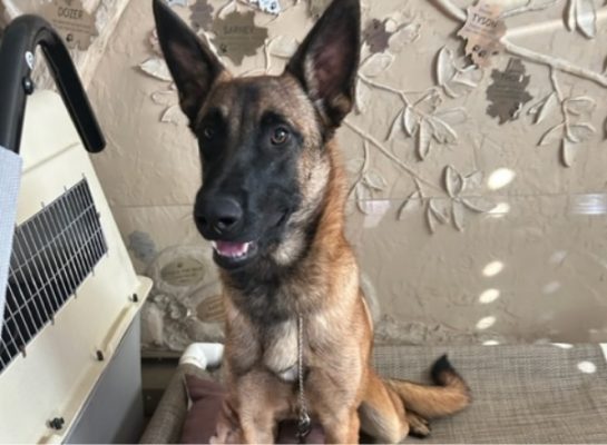 Astro