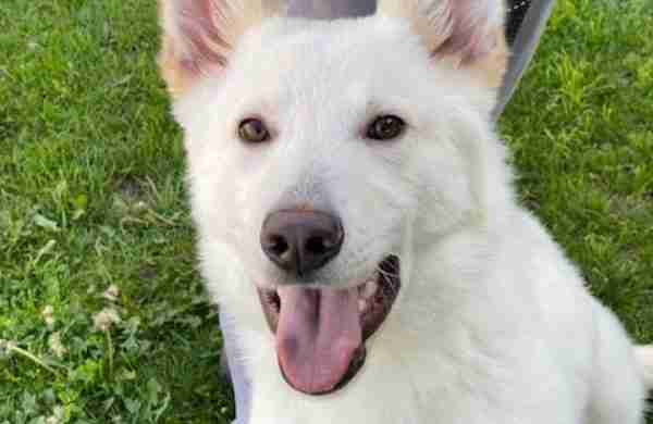 Jax