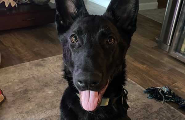 Gus